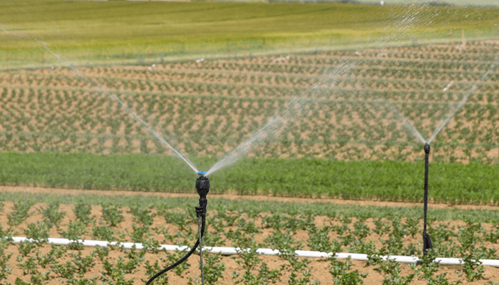 Smart Irrigation